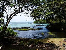 Maluhia Kahakai 2 Bedroom Condo by RedAwning