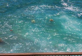 Poipu Shores 301b 3 Bedroom Condo by RedAwning