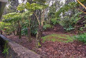 Aloha Ohia Hale 1 Bedroom Home by RedAwning