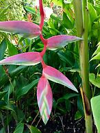 Pua Lani 2 Bedroom Home by RedAwning