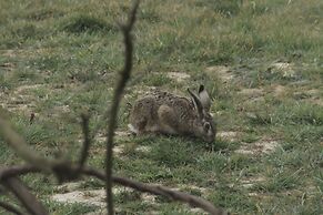Ô Saveur de l'Instant