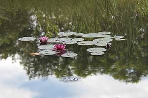 Ô Saveur de l'Instant