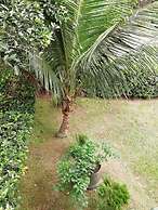 Ecocabañas Manguare