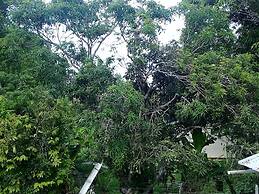 Ecocabañas Manguare