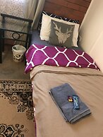 XYL Pets Friendly Seaside Boutique Guesthouse