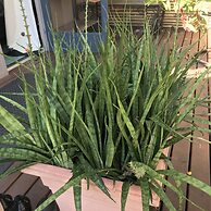 XYL Pets Friendly Seaside Boutique Guesthouse