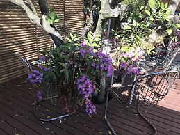 XYL Pets Friendly Seaside Boutique Guesthouse