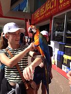 XYL Pets Friendly Seaside Boutique Guesthouse