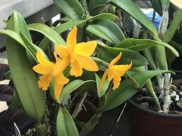 XYL Pets Friendly Seaside Boutique Guesthouse