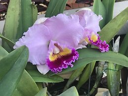 XYL Pets Friendly Seaside Boutique Guesthouse