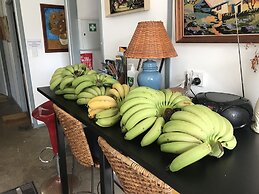 XYL Pets Friendly Seaside Boutique Guesthouse