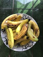 XYL Pets Friendly Seaside Boutique Guesthouse