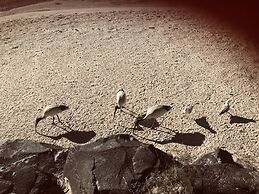 XYL Pets Friendly Seaside Boutique Guesthouse