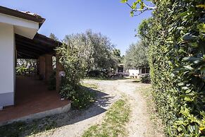 Ville Pini e Aurelia