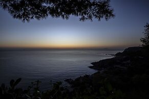 Ville Pini e Aurelia