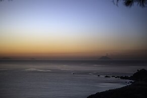 Ville Pini e Aurelia