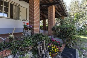 Ville Pini e Aurelia