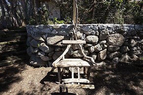 Ville Pini e Aurelia