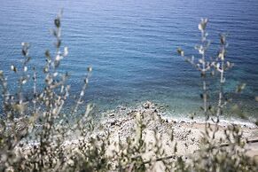 Ville Pini e Aurelia