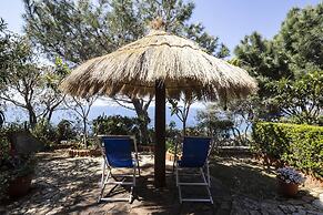 Ville Pini e Aurelia