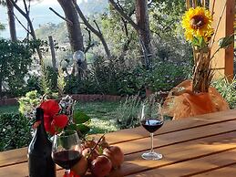 Ville Pini e Aurelia