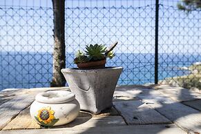 Ville Pini e Aurelia