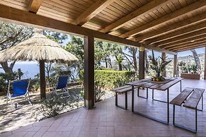 Ville Pini e Aurelia