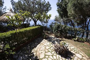 Ville Pini e Aurelia