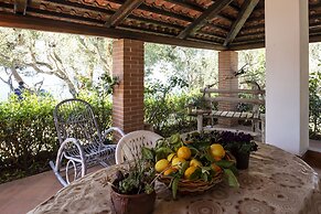 Ville Pini e Aurelia