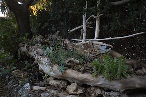 Ville Pini e Aurelia