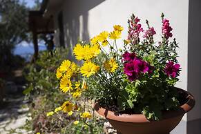 Ville Pini e Aurelia