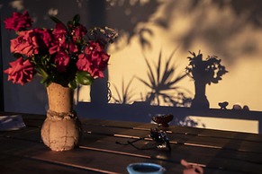 Ville Pini e Aurelia