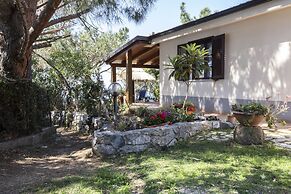 Ville Pini e Aurelia