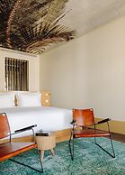 The Ivens, Autograph Collection