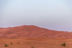 Sahara Shooting Stars Camp