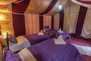 Sahara Shooting Stars Camp