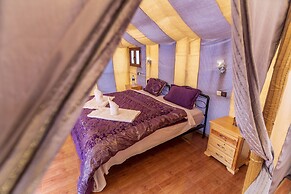 Sahara Shooting Stars Camp