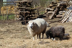 Antik-Hof Bissee