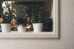 La Passion Interdite