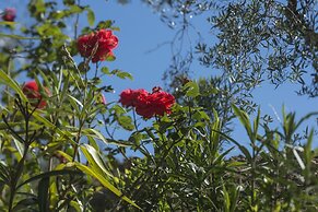 Luxury Chianti For Four