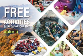 Mountain Dew - 2 Bedrooms, 2 Baths, Sleeps 4 Cabin by RedAwning