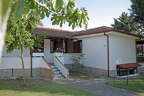 The 4 Travellers Halkidiki