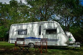 Big Game on Wheels - Wilpattu