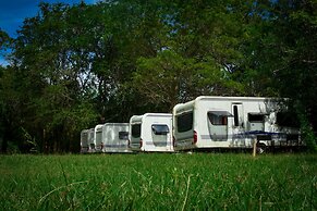 Big Game on Wheels - Wilpattu
