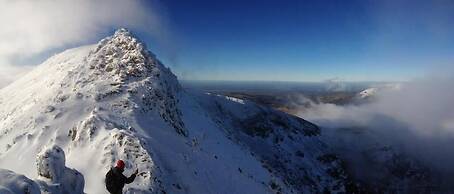 The Vagabond Bunkhouse & Pizzaria - Hostel