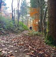 The Vagabond Bunkhouse & Pizzaria - Hostel