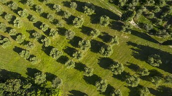 Agriturismo Borgo il Mezzanino