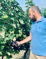 Agriturismo Borgo il Mezzanino