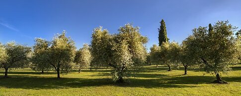 Agriturismo Borgo il Mezzanino