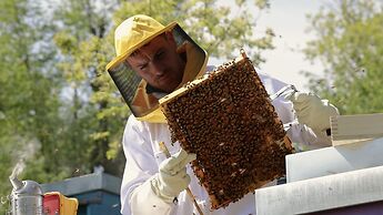Agriturismo Borgo il Mezzanino